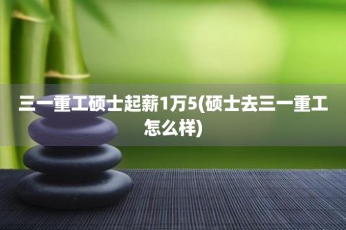 三一重工硕士起薪1万5(硕士去三一重工怎么样)