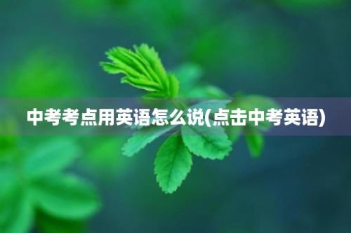 中考考点用英语怎么说(点击中考英语)