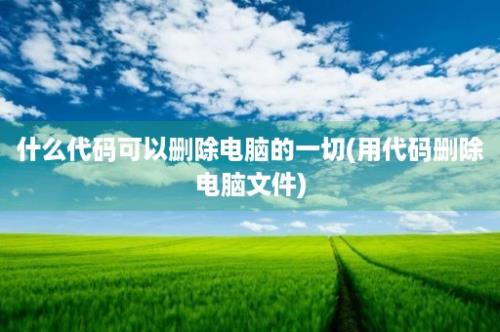 什么代码可以删除电脑的一切(用代码删除电脑文件)