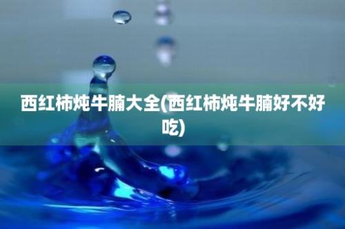 西红柿炖牛腩大全(西红柿炖牛腩好不好吃)