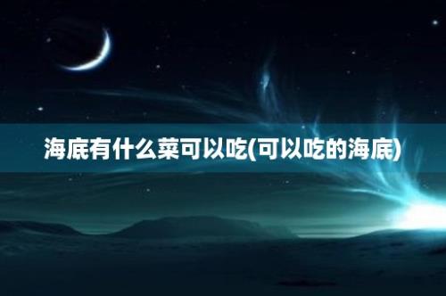 海底有什么菜可以吃(可以吃的海底)