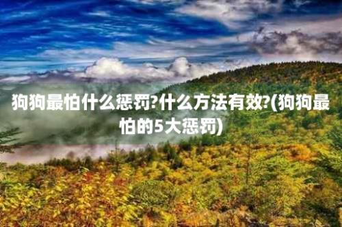 狗狗最怕什么惩罚?什么方法有效?(狗狗最怕的5大惩罚)