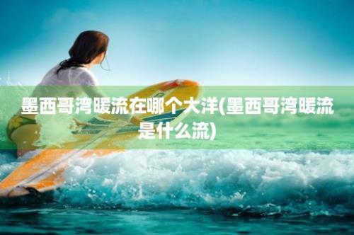 墨西哥湾暖流在哪个大洋(墨西哥湾暖流是什么流)