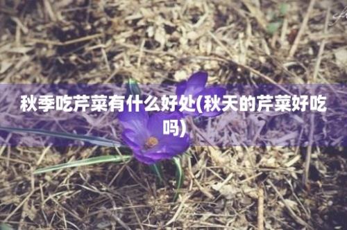 秋季吃芹菜有什么好处(秋天的芹菜好吃吗)