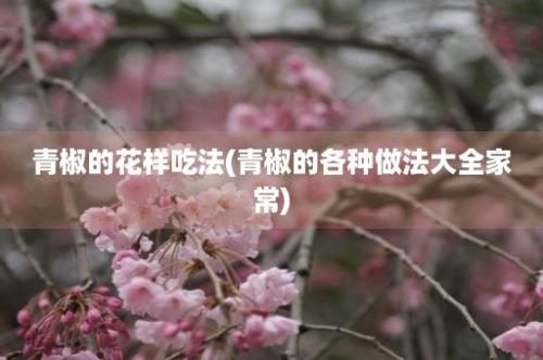 青椒的花样吃法(青椒的各种做法大全家常)