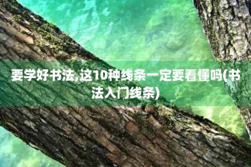 要学好书法,这10种线条一定要看懂吗(书法入门线条)