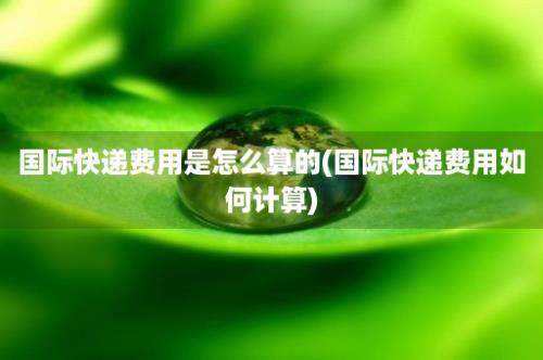 国际快递费用是怎么算的(国际快递费用如何计算)