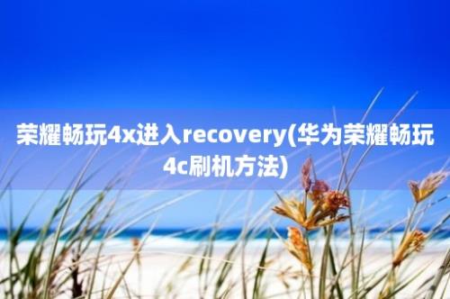 荣耀畅玩4x进入recovery(华为荣耀畅玩4c刷机方法)