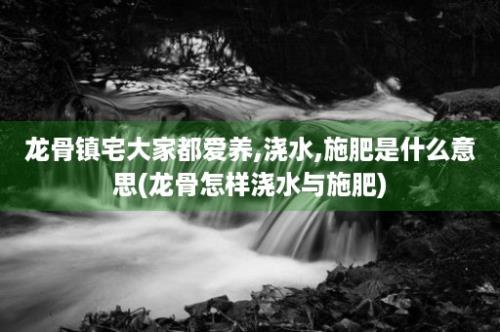 龙骨镇宅大家都爱养,浇水,施肥是什么意思(龙骨怎样浇水与施肥)