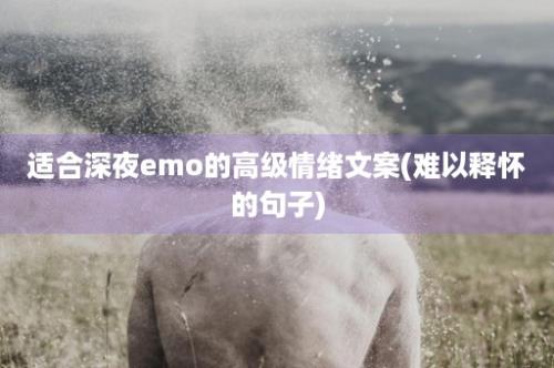 适合深夜emo的高级情绪文案(难以释怀的句子)