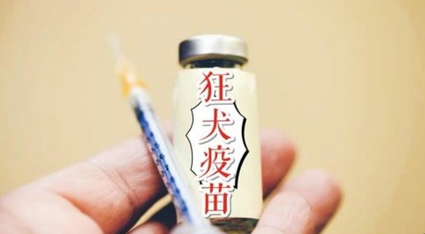 打了狂犬疫苗后又被咬了怎么办
