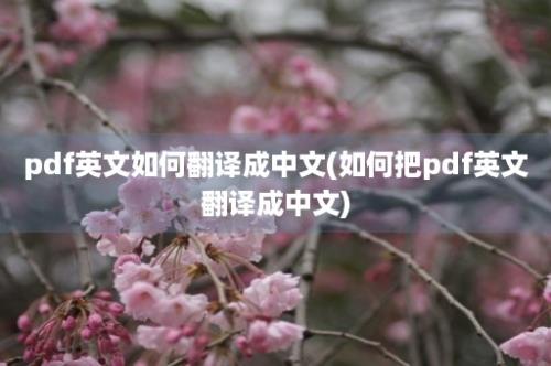 pdf英文如何翻译成中文(如何把pdf英文翻译成中文)