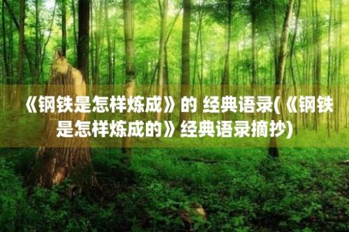 《钢铁是怎样炼成》的 经典语录(《钢铁是怎样炼成的》经典语录摘抄)