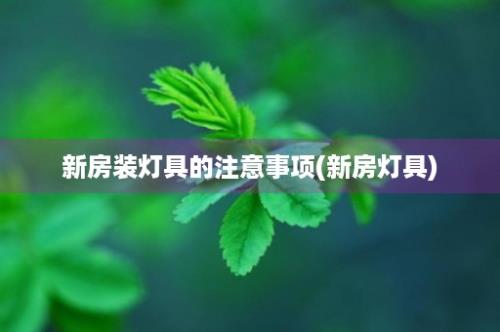 新房装灯具的注意事项(新房灯具)