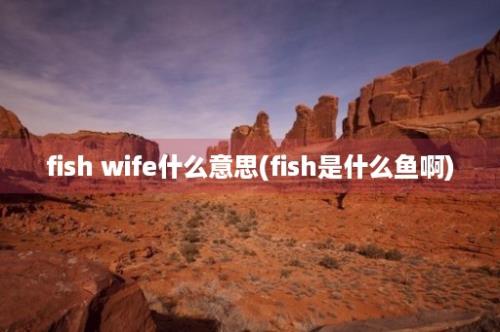 fish wife什么意思(fish是什么鱼啊)