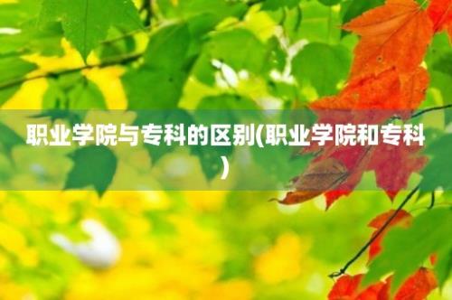 职业学院与专科的区别(职业学院和专科)