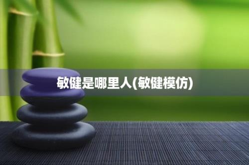 敏健是哪里人(敏健模仿)