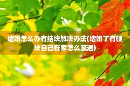 堵奶怎么办有结块解决办法(堵奶了有硬块自己在家怎么疏通)