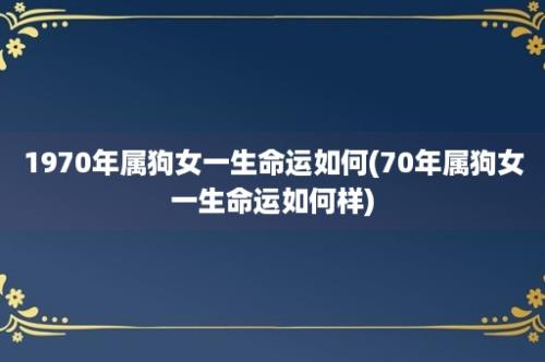 1970年属狗女一生命运如何(70年属狗女一生命运如何样)