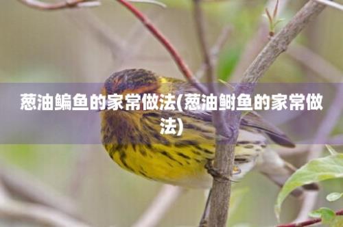 葱油鳊鱼的家常做法(葱油鲥鱼的家常做法)