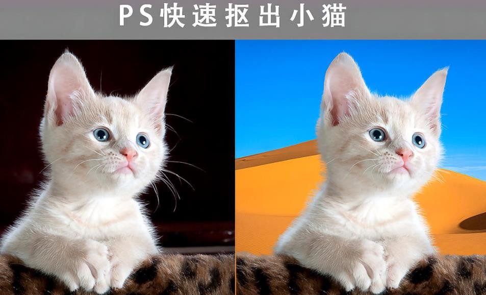 ps快速抠图技巧有哪些