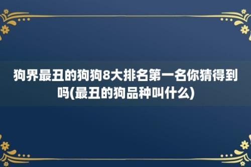 狗界最丑的狗狗8大排名第一名你猜得到吗(最丑的狗品种叫什么)