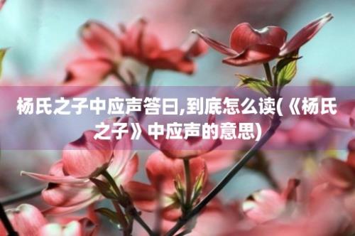 杨氏之子中应声答曰,到底怎么读(《杨氏之子》中应声的意思)