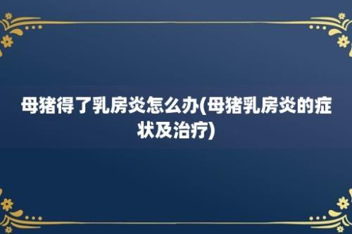 母猪得了乳房炎怎么办(母猪乳房炎的症状及治疗)