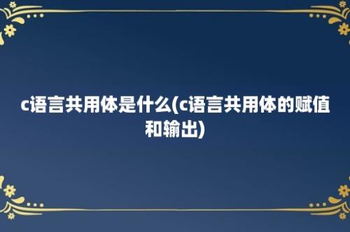 c语言共用体是什么(c语言共用体的赋值和输出)