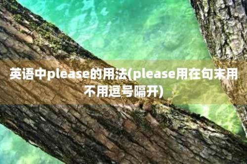 英语中please的用法(please用在句末用不用逗号隔开)