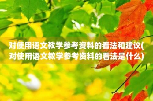 对使用语文教学参考资料的看法和建议(对使用语文教学参考资料的看法是什么)