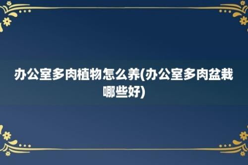 办公室多肉植物怎么养(办公室多肉盆栽哪些好)