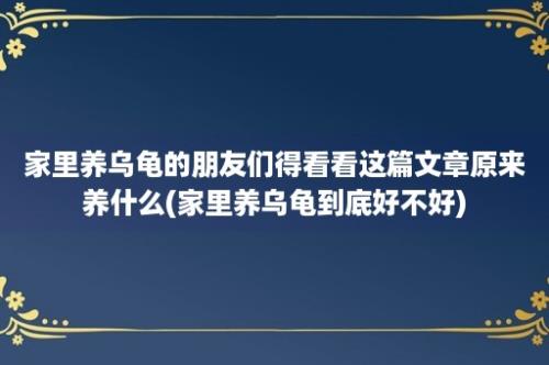 家里养乌龟的朋友们得看看这篇文章原来养什么(家里养乌龟到底好不好)