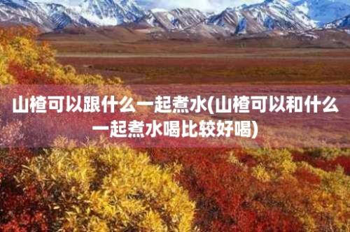 山楂可以跟什么一起煮水(山楂可以和什么一起煮水喝比较好喝)