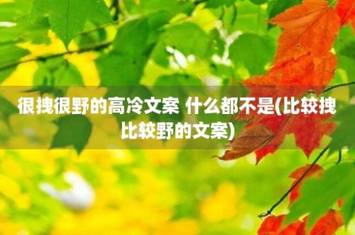 很拽很野的高冷文案 什么都不是(比较拽比较野的文案)