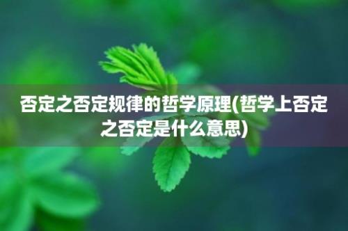 否定之否定规律的哲学原理(哲学上否定之否定是什么意思)