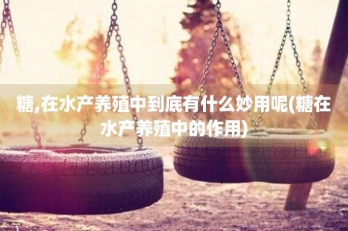 糖,在水产养殖中到底有什么妙用呢(糖在水产养殖中的作用)