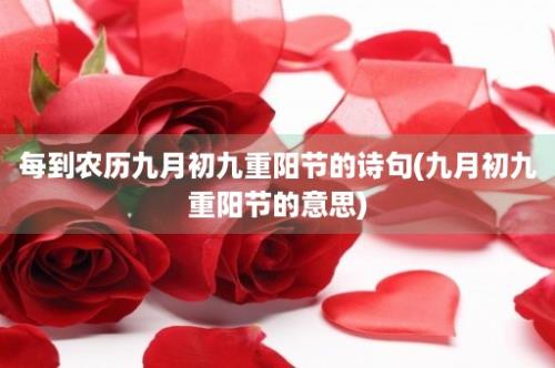 每到农历九月初九重阳节的诗句(九月初九重阳节的意思)