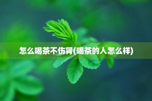 怎么喝茶不伤肾(喝茶的人怎么样)