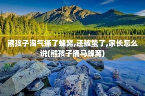 熊孩子淘气捅了蜂窝,还被蛰了,家长怎么说(熊孩子捅马蜂窝)