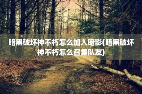 暗黑破坏神不朽怎么加入暗影(暗黑破坏神不朽怎么召集队友)