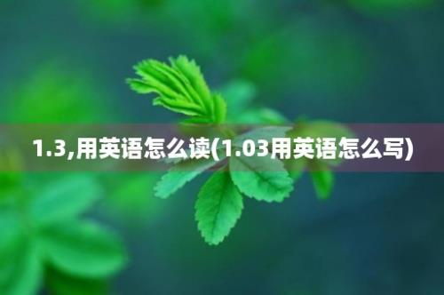 1.3,用英语怎么读(1.03用英语怎么写)