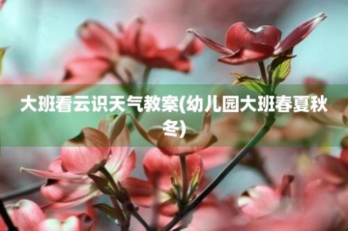 大班看云识天气教案(幼儿园大班春夏秋冬)