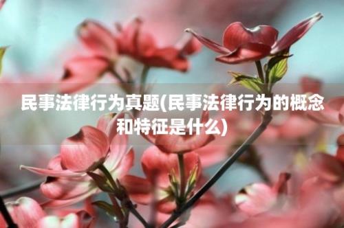 民事法律行为真题(民事法律行为的概念和特征是什么)