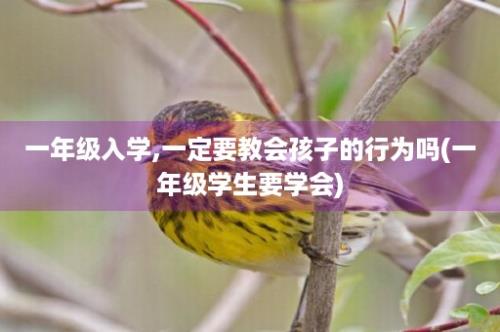 一年级入学,一定要教会孩子的行为吗(一年级学生要学会)