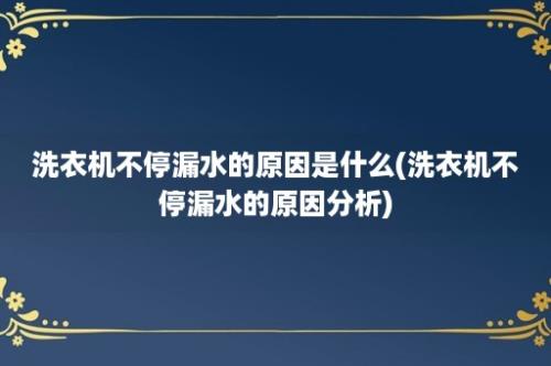 洗衣机不停漏水的原因是什么(洗衣机不停漏水的原因分析)