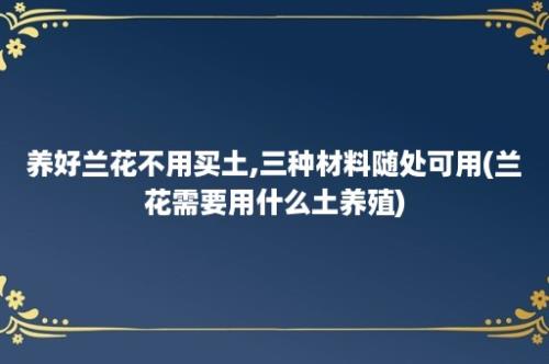 养好兰花不用买土,三种材料随处可用(兰花需要用什么土养殖)