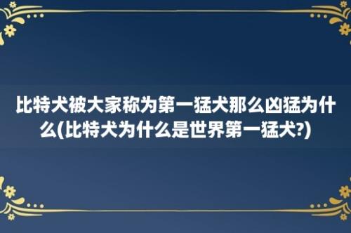 比特犬被大家称为第一猛犬那么凶猛为什么(比特犬为什么是世界第一猛犬?)