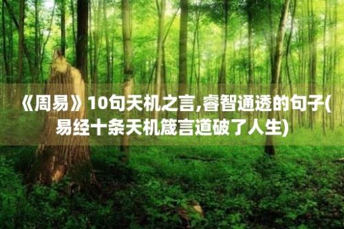 《周易》10句天机之言,睿智通透的句子(易经十条天机箴言道破了人生)