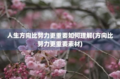 人生方向比努力更重要如何理解(方向比努力更重要素材)